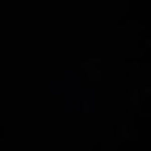 Meet your Posher, Jes